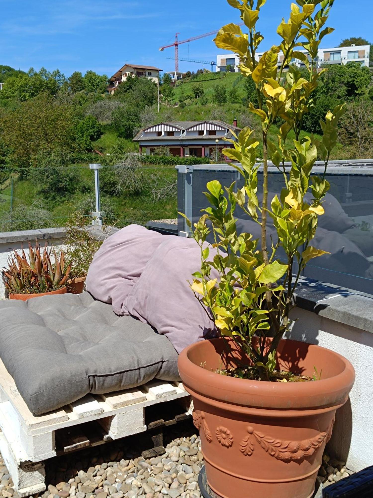 Appartement Plena Naturaleza En Pleno Saint-Sébastien Extérieur photo